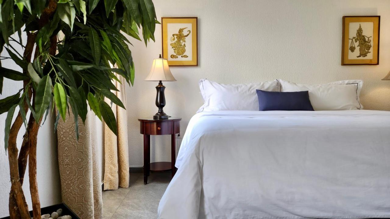 Casa Tamayo Mexico City Ngoại thất bức ảnh