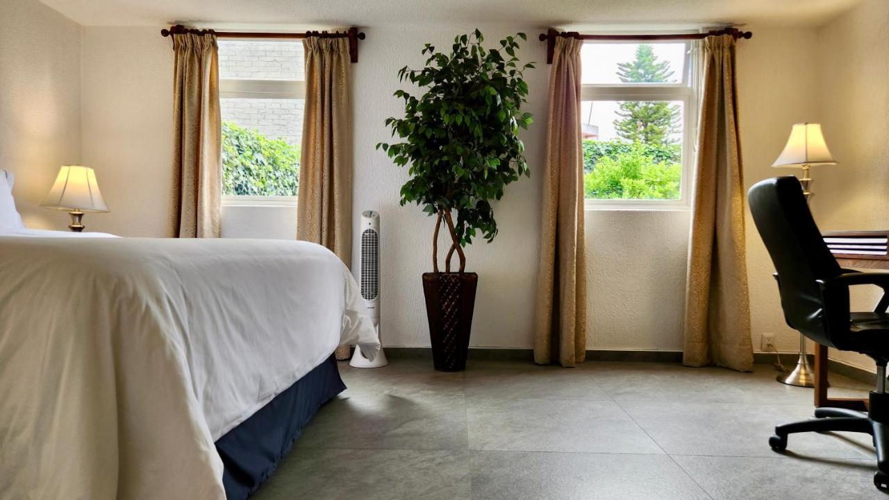 Casa Tamayo Mexico City Ngoại thất bức ảnh
