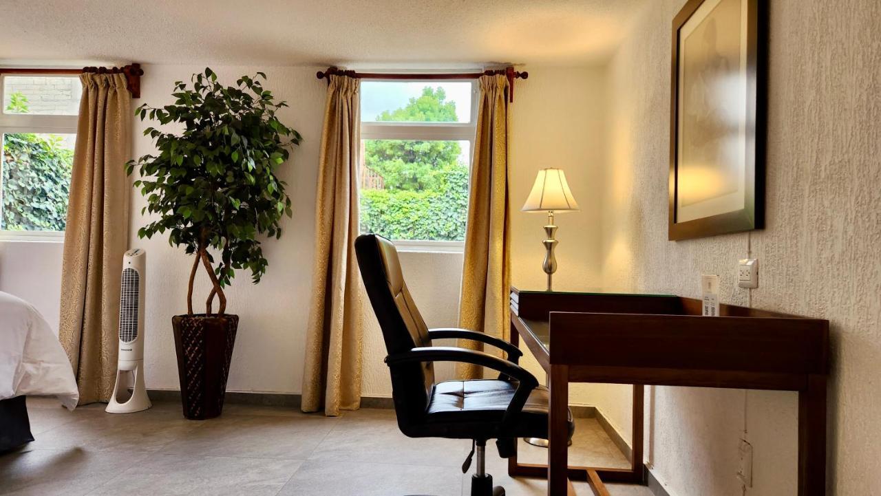 Casa Tamayo Mexico City Ngoại thất bức ảnh