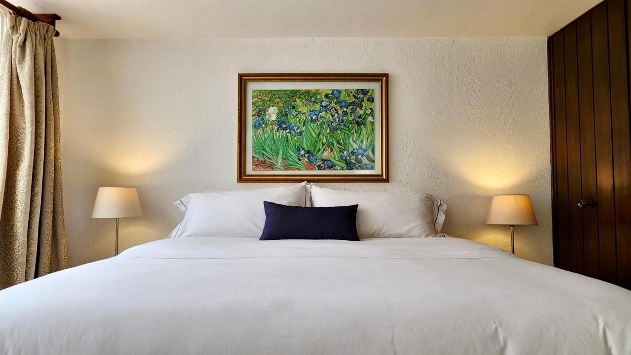 Casa Tamayo Mexico City Ngoại thất bức ảnh
