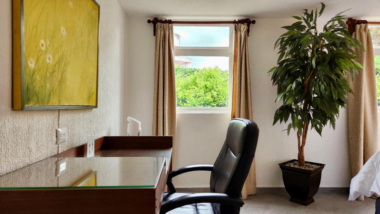 Casa Tamayo Mexico City Ngoại thất bức ảnh