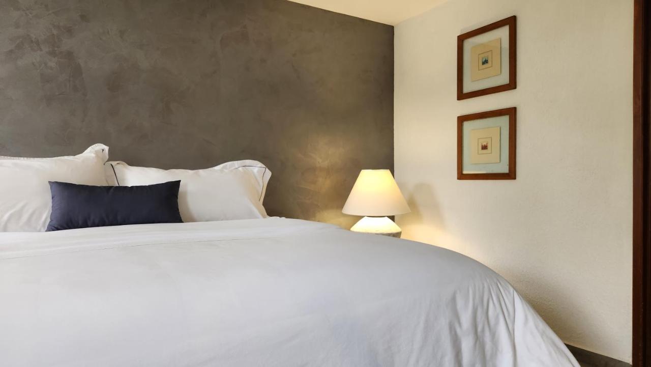Casa Tamayo Mexico City Ngoại thất bức ảnh