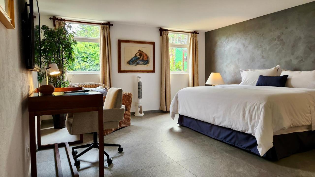 Casa Tamayo Mexico City Ngoại thất bức ảnh