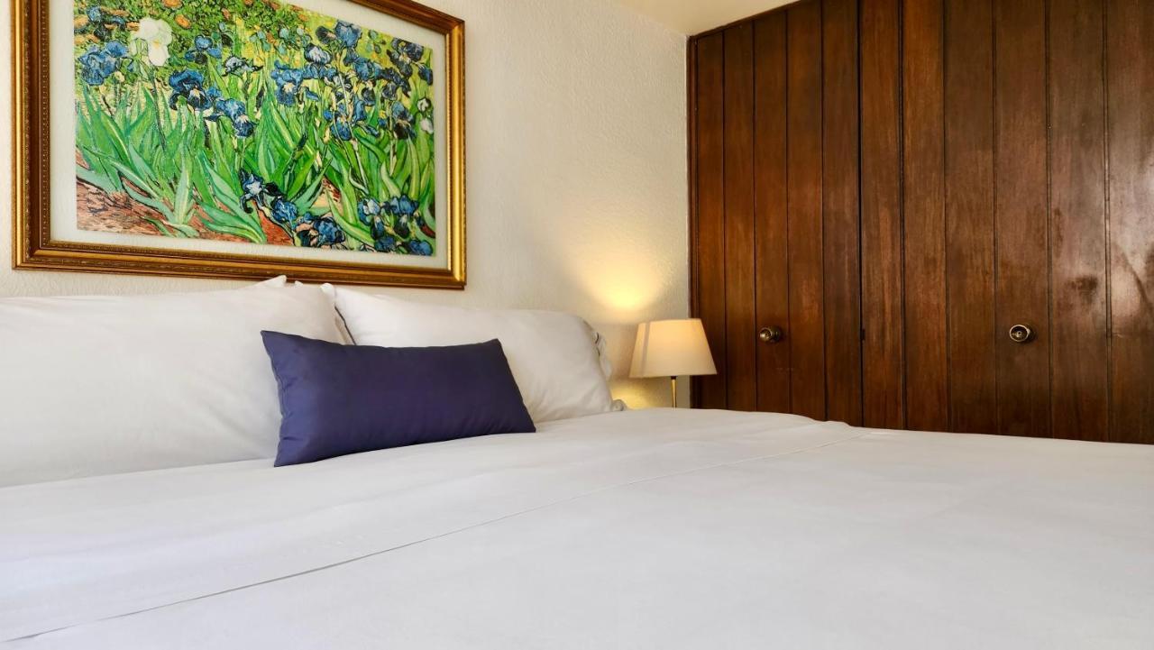 Casa Tamayo Mexico City Ngoại thất bức ảnh