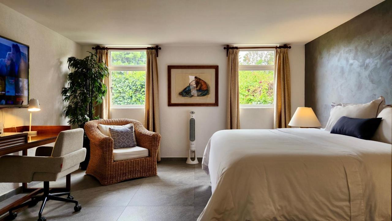 Casa Tamayo Mexico City Ngoại thất bức ảnh