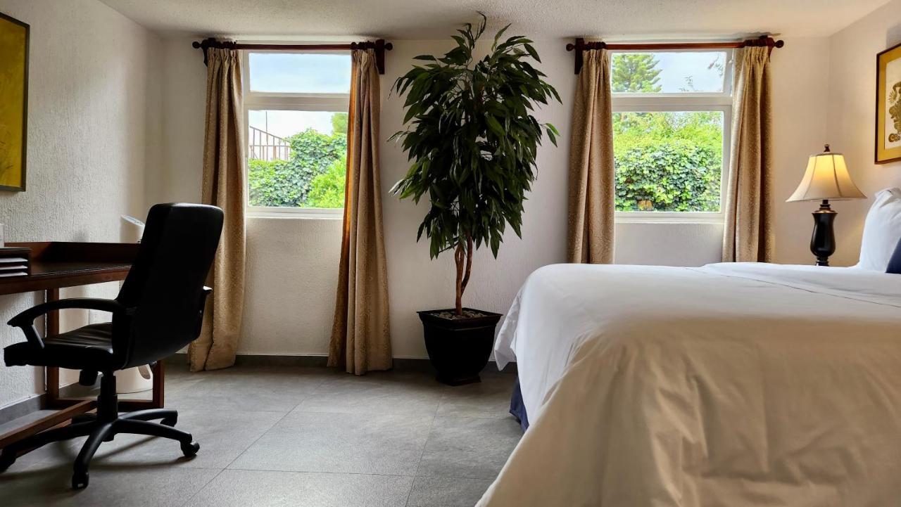 Casa Tamayo Mexico City Ngoại thất bức ảnh