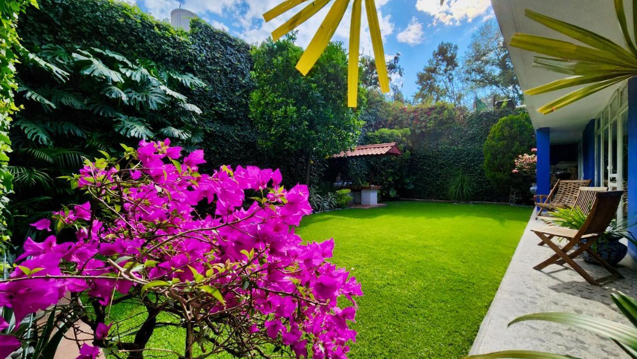 Casa Tamayo Mexico City Ngoại thất bức ảnh