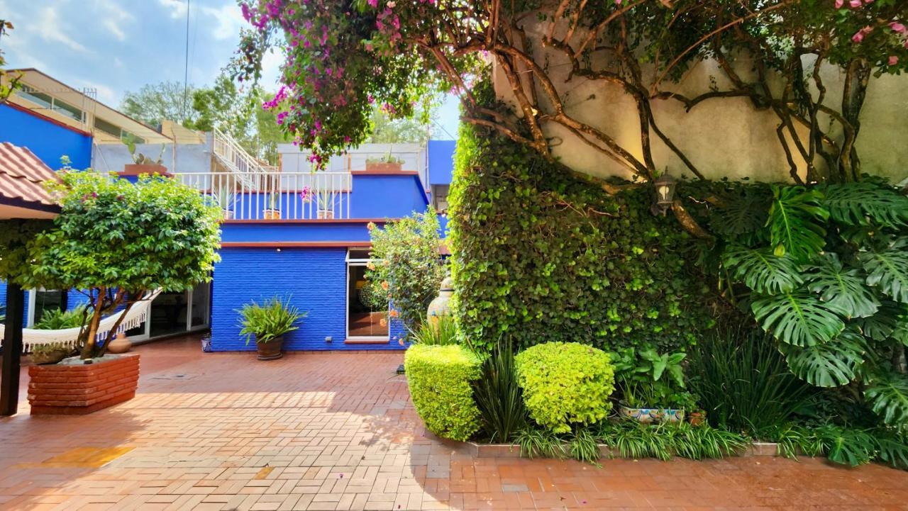 Casa Tamayo Mexico City Ngoại thất bức ảnh